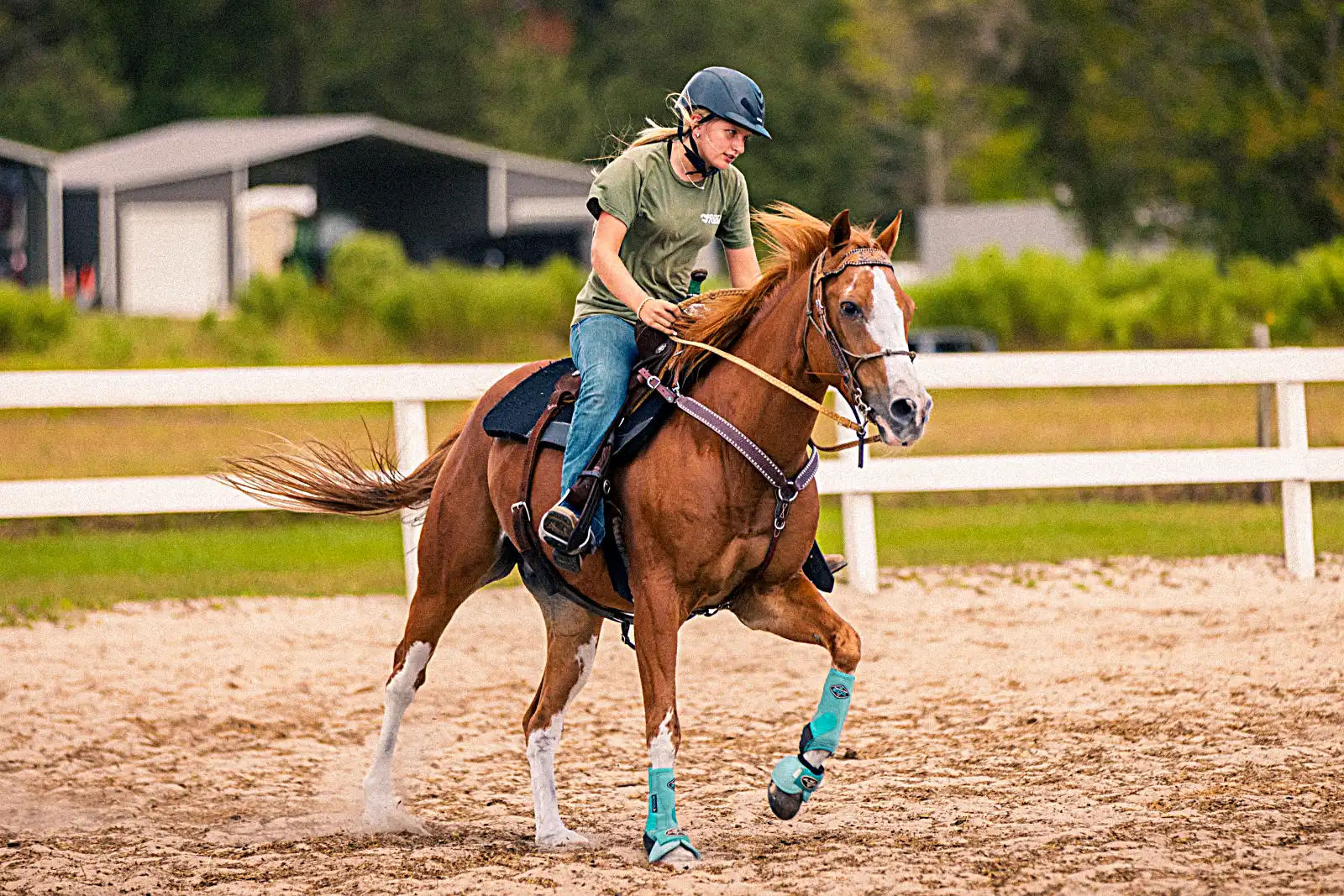 Kiddy Up Ranch therapeutic programs and services