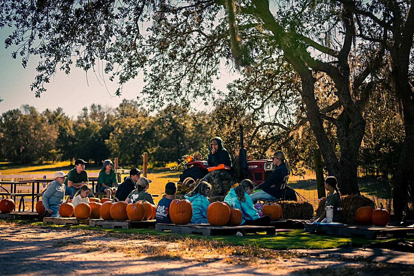 Horse Powered Reading program at Kiddy Up Ranch